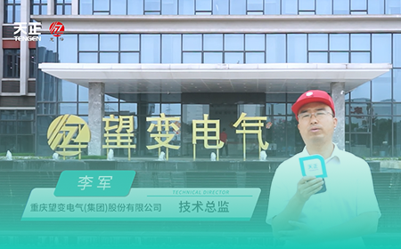 天正x望变电气